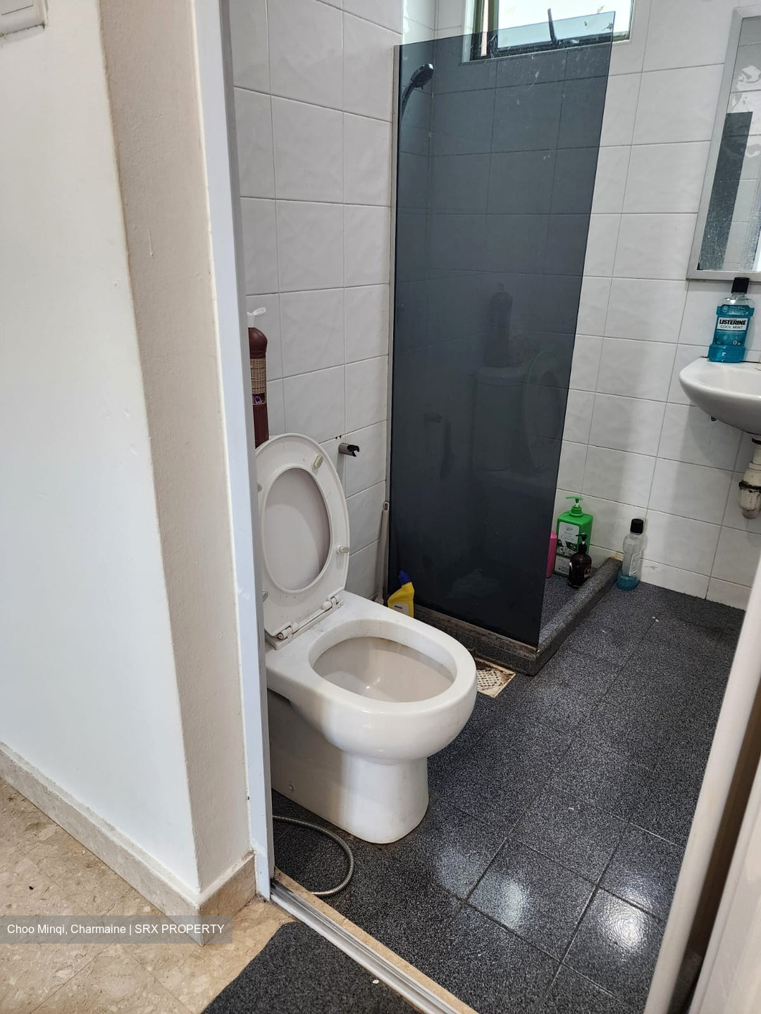 Ever Lodge (D14), Apartment #434389281